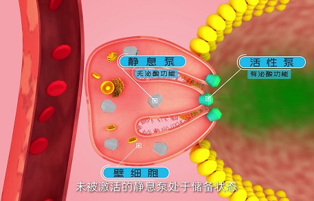 医药行业三维动画宣传片-厦门三维动画制作